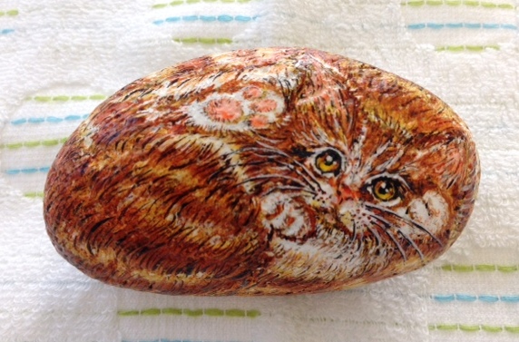 石ころアートメンバー